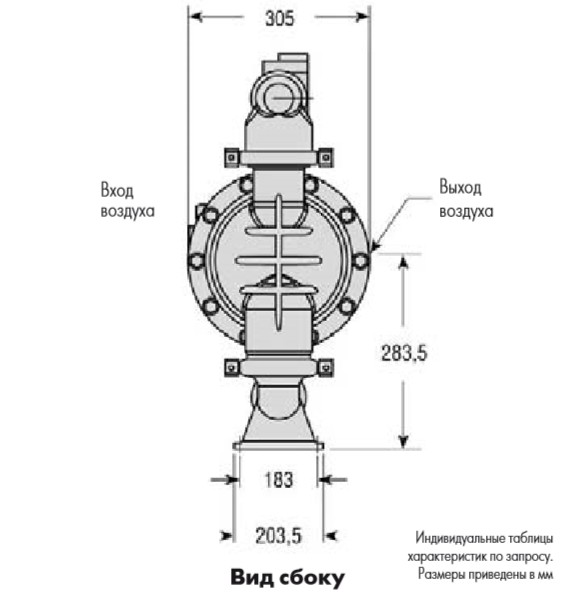 Фото  Мембранные насосы DMP 1 1/2” до 360 л/мин (пластик)  - 1